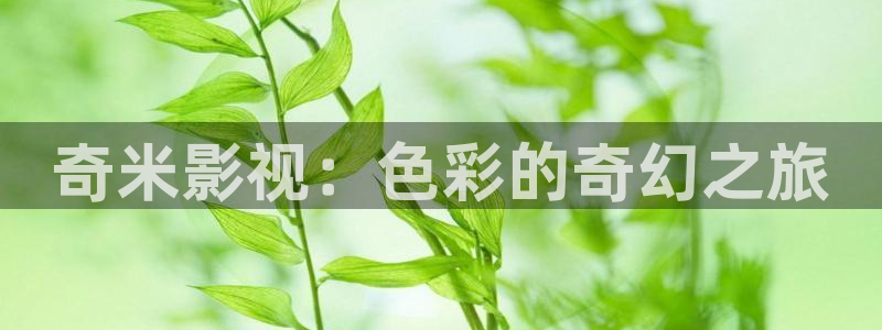 桃花影院电视剧在线播放：奇米影视：色彩的奇幻之旅