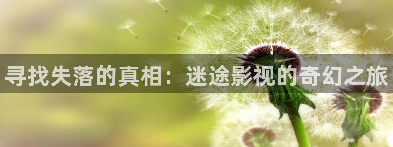 桃花影院理论片在线