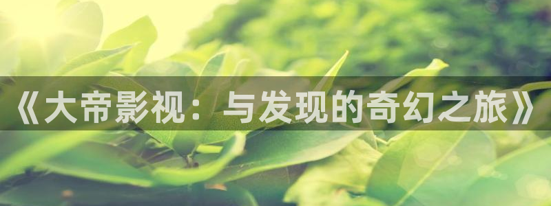 桃花巷电影全集