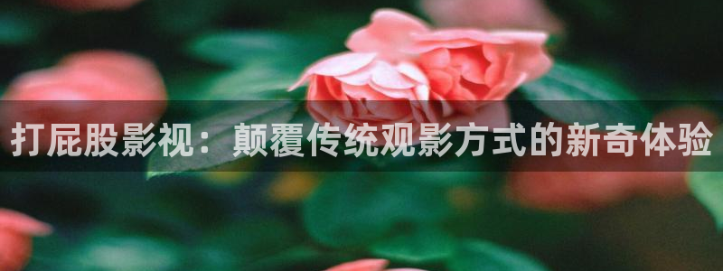 久久桃花电影网