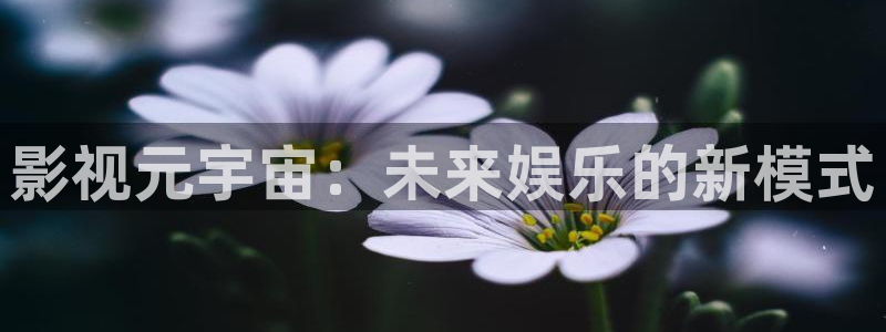 桃花的视频